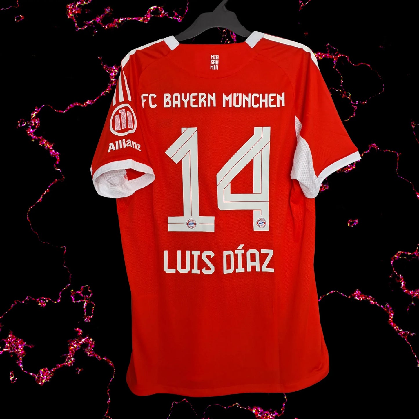 BAYERN MUNICH 25-26