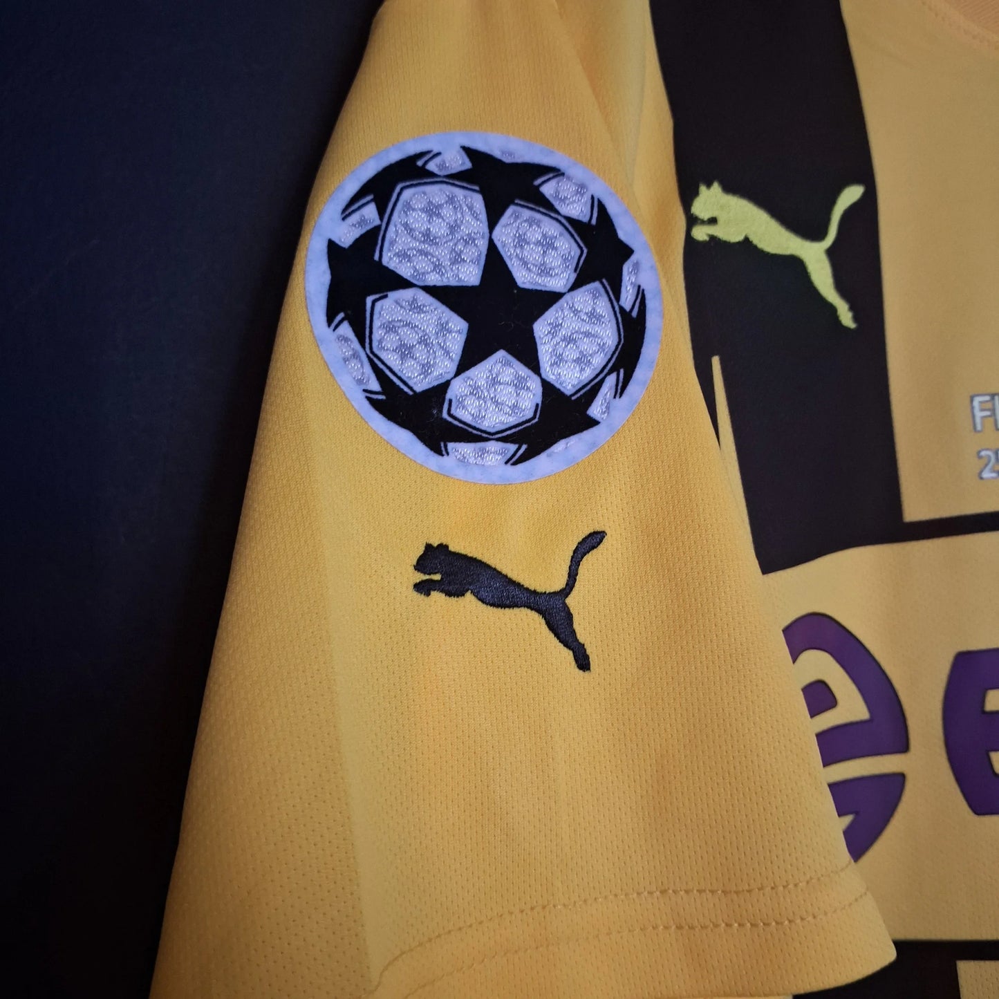 BORUSSIA DORTMUND FINAL CHAMPIONS 2013