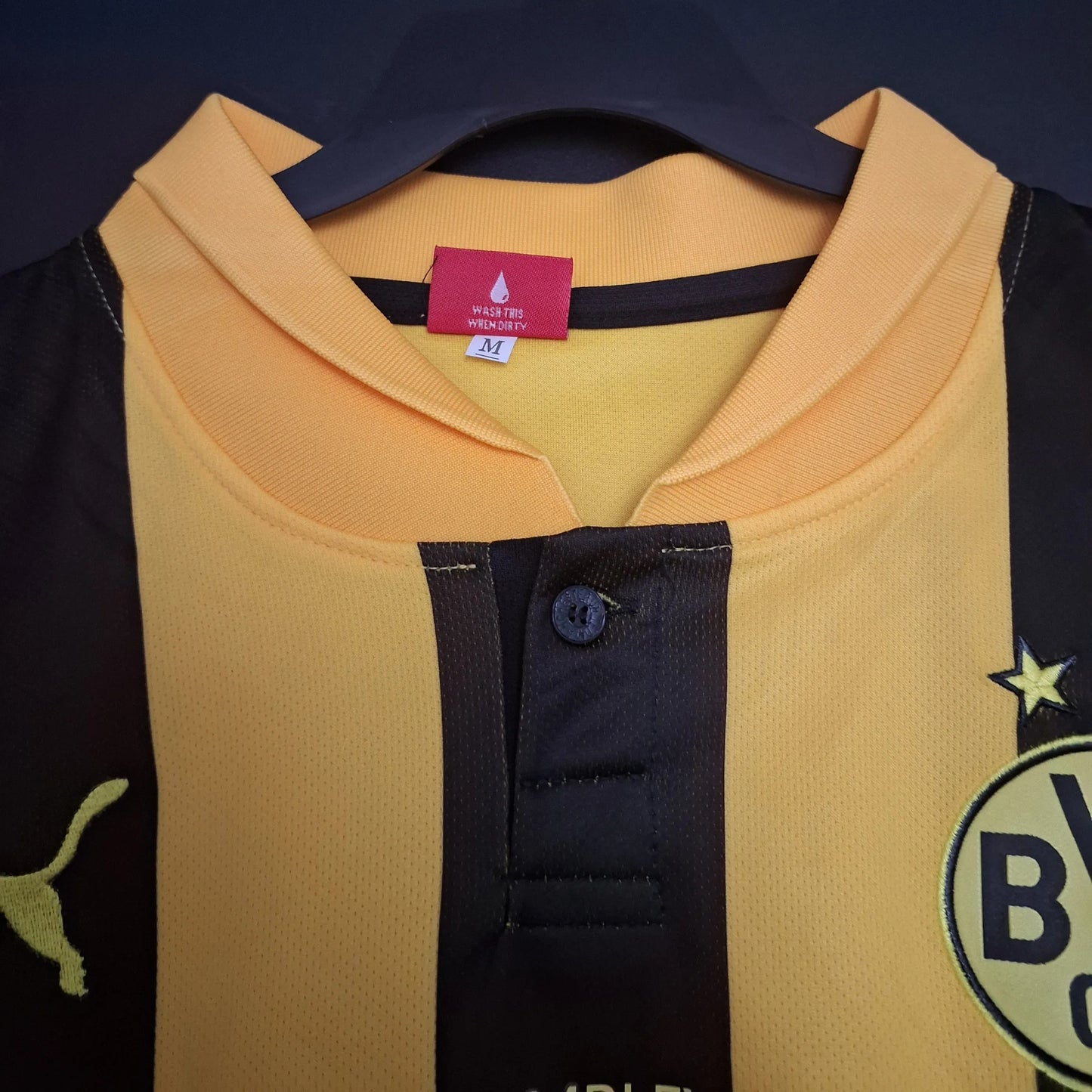 BORUSSIA DORTMUND FINAL CHAMPIONS 2013